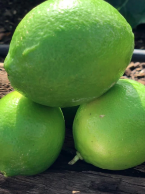 Limon Organico
